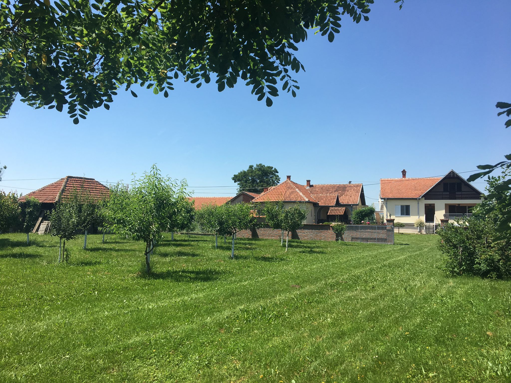 Kloka — fotografija 12