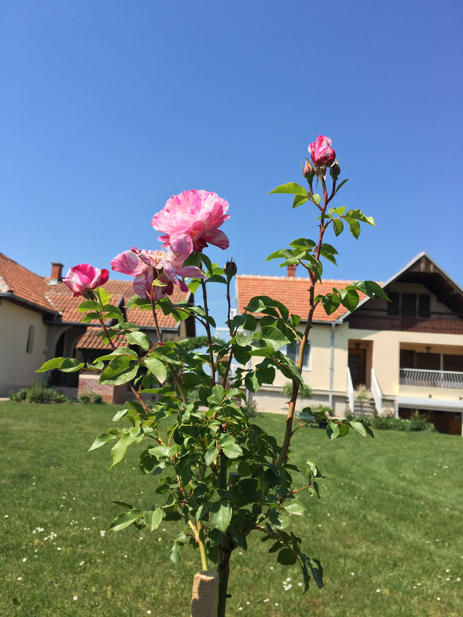 Kloka — fotografija 7