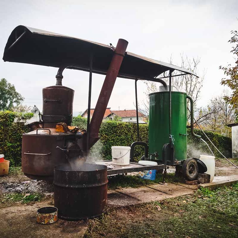 Domaća rakija srpska tradicija